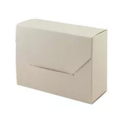 Skrzynka na dokumenty 220x168x112mm EMBA