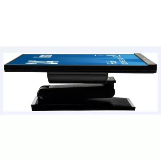 Monitor dotykowy Iiyama ProLite T2454MSC-B1AG, 60cm (23,6''), CAP 10-touch, Full HD, czarny