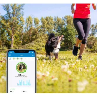 Tractive GPS DOG 4 - śledzenie pozycji i aktywności psów przez GPS Tractive GPS DOG 4 - śledzenie pozycji i aktywności psów przez GPS