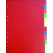 Separator A4 2x6 kolorów PP 120mic