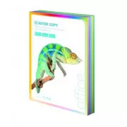 Papier offsetowy Master A4/80g jasna tęcza 5 kolorów 100 arkuszy