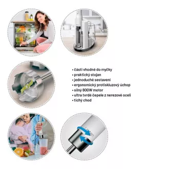 Lauben Stick Blender 800WT - blender kielichowy