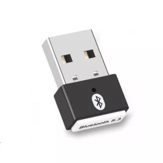 WG - Mini adapter Bluetooth 5.3