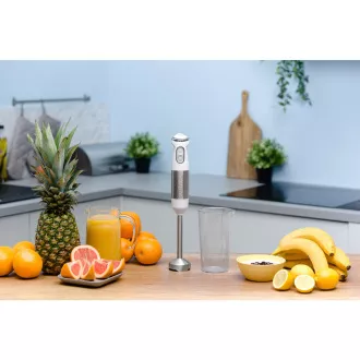 ZHB4561 LIME STICK BLENDER ZELMER ZHB4561 LIME STICK BLENDER ZELMER
