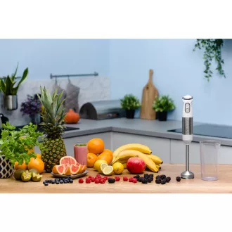 ZHB4561 LIME STICK BLENDER ZELMER ZHB4561 LIME STICK BLENDER ZELMER