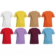 T-shirt TEESTA ciemnobrązowy 3XL