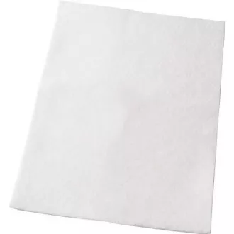 FILTR EF54 (900084305) ELECTROLUX