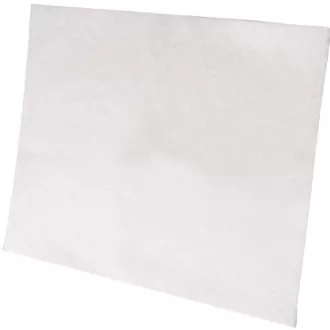 FILTR SILNIKA EF1 (900034312) ELECTROLUX