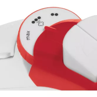26481-56 RUSSELL HOBBS IRON