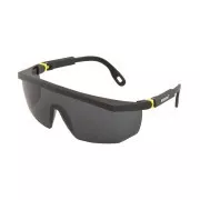 Okulary V10-100