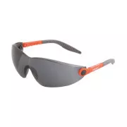 Okulary V6100