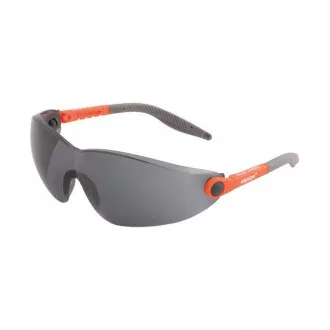Okulary V6100