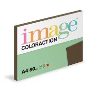 Papier artystyczny Image Coloraction A4/80g, brązowy, 100 arkuszy