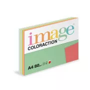 Image Coloraction papier biurowy A4/80g, TOP mix 10x25, mix - 250