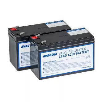 AVACOM RBC166 - zestaw do regeneracji baterii (2 baterie)