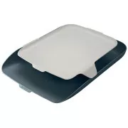 LEITZ Etui na dokumenty z organizerem Cosy, aksamitny szary