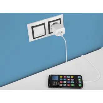 Ładowarka sieciowa AVACOM HomePRO 2 z Power Delivery 40W z dwoma wyjściami USB-C