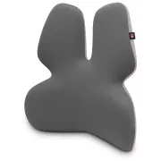 CONNECT IT FOR HEALTH GamaPro Anatomiczne podparcie lędźwiowe do fotela, SZARE