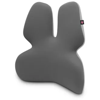 CONNECT IT FOR HEALTH GamaPro Anatomiczne podparcie lędźwiowe do fotela, SZARE