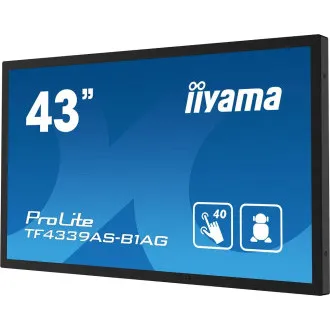 43 43