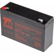 Akumulator T6 Power NP6-12, 6 V, 12 Ah, F2