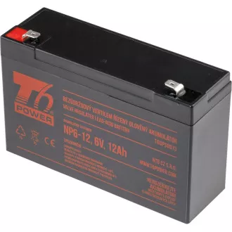 Akumulator T6 Power NP6-12, 6 V, 12 Ah, F2