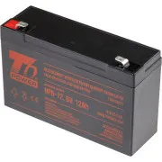 Akumulator T6 Power NP6-12, 6 V, 12 Ah, F2