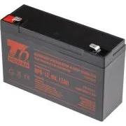 Akumulator T6 Power NP6-12, 6 V, 12 Ah, F2