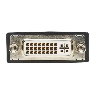 Adapter wideo DisplayPort / DVI (męski/żeński), 15,2 cm