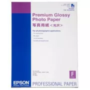 Epson Premium Glossy Photo Paper, C13S042091, papier fotograficzny, błyszczący, biały, Stylus Photo 890, 895, 1270, 2100, A2, 255 g/m2, 25 szt,