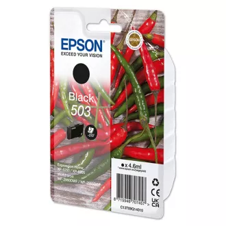 Epson C13T09Q14010 - tusz, black (czarny)