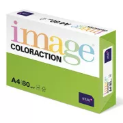 Papier kserograficzny Coloraction, Java, A4, 80 g/m2, średni zielony, 500 arkuszy, odpowiedni do druku atramentowego