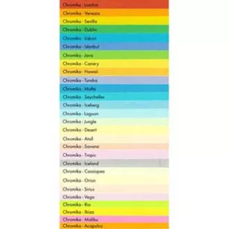 Papier kserograficzny Coloraction, Java, A4, 80 g/m2, średni zielony, 500 arkuszy, odpowiedni do druku atramentowego