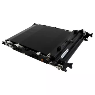 Ricoh D1966002 - Pas transferu