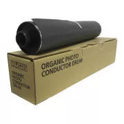 Ricoh D0099510 - toner, black (czarny)
