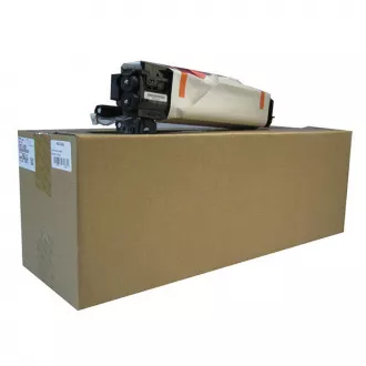 Ricoh D117-0121 - bęben, black (czarny)