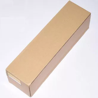 Ricoh D1799510 - bęben