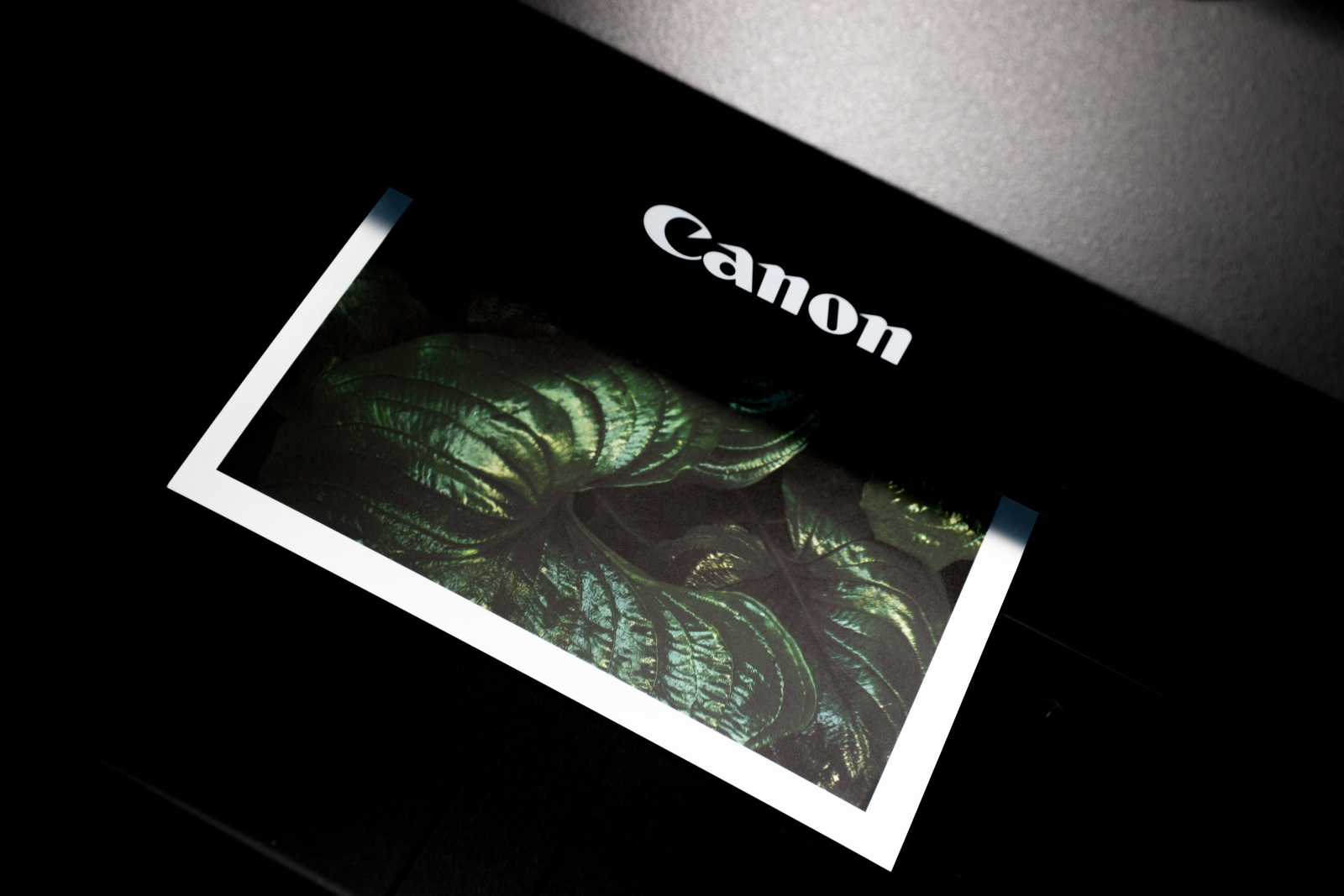 Druk zdjęcia na drukarce Canon